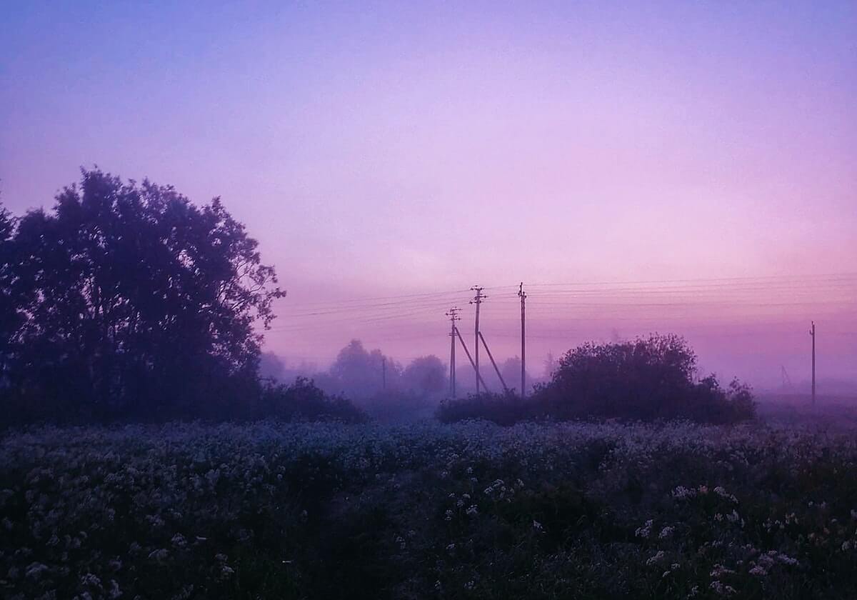 新葡萄8883官网:开启线上娱乐新纪元的入口